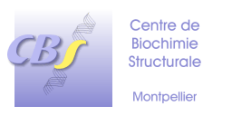 Centre de Biochimie Structurale